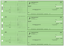 Safety Green Payroll General Checks