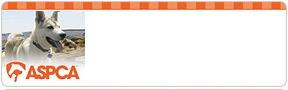 ASPCA® Dogs Address Labels