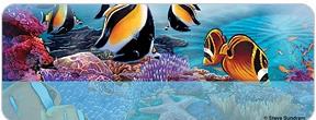 Steve Sundram Tropical Fish Address Labels