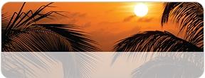 Caribbean Paradise  Address Labels