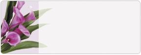 Soft Petals Address Labels