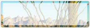 Desert Days Address Labels