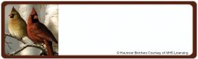Songbirds Address Labels