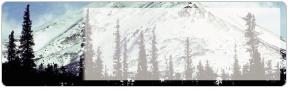 Image of Scene 3