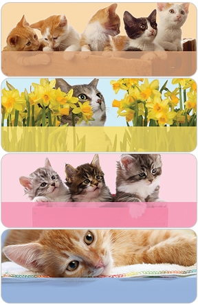 Precious Kittens Address Labels